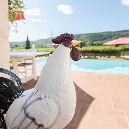 Maso Maroni Agriturismo Quinto di Valpantena Exterior foto