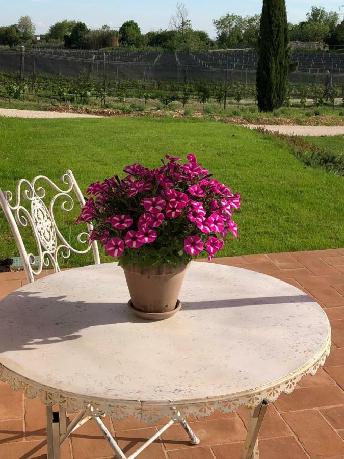 Maso Maroni Agriturismo Quinto di Valpantena Exterior foto