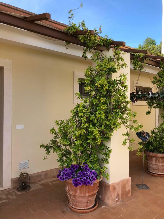 Maso Maroni Agriturismo Quinto di Valpantena Exterior foto