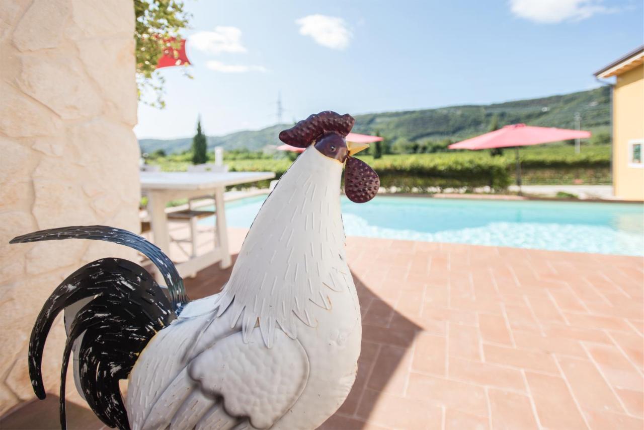 Maso Maroni Agriturismo Quinto di Valpantena Exterior foto